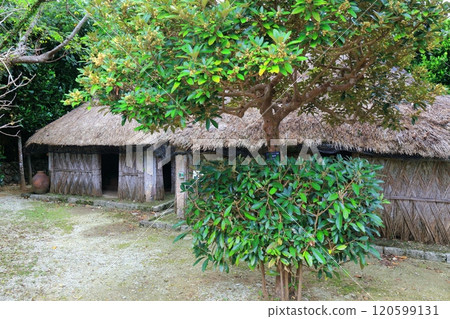 [Okinawa Prefecture] A private house in the headquarters of the Okinawa Native Village (Omoro Botanical Garden) 120599131