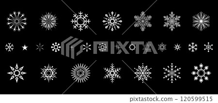 Snowflakes icon collection. Graphic modern black and white ornament. 120599515