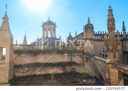 View from the Giralda Tower out over the roof and spires of the Seville cathedral with the city in view in Seville, Spain 120599537