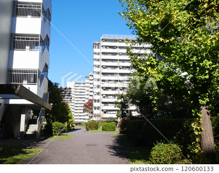 Cityscape with housing complexes | Takashimadaira housing complex 120600133