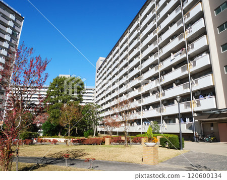 Cityscape with blue sky and housing complex | Takashimadaira housing complex 120600134