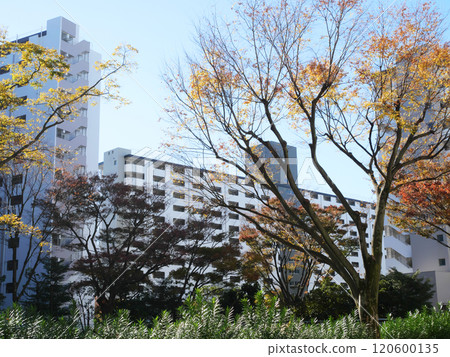 Cityscape with housing complexes | Takashimadaira housing complex 120600135