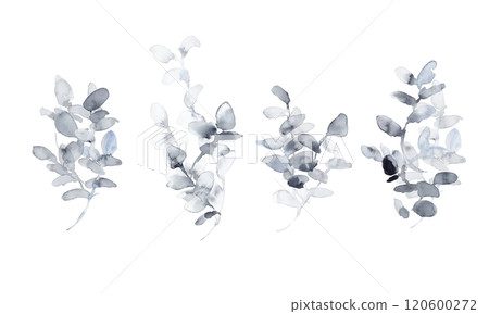 水彩。單色植物和植物向量插圖與水彩觸摸。植物的豪華圖像背景。單色植物 120600272