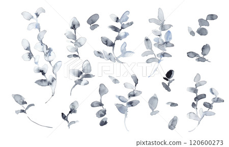 水彩。單色植物和植物向量插圖與水彩觸摸。植物的豪華圖像背景。單色植物 水彩。單色植物和植物向量插圖與水彩觸摸。植物的豪華圖像背景。單色植物 120600273