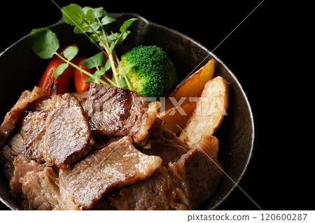 Wagyu beef ribs, yakiniku, offcuts, domestic beef, vegetables 120600287