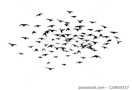 Flying birds silhouette flock. hand drawing. Not AI. Vector illustration Flying birds silhouette flock. hand drawing. Not AI. Vector illustration 120600357