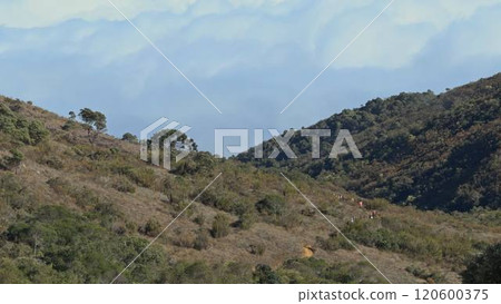 Hikers on a Mountain Trail with Cloudy Background 120600375