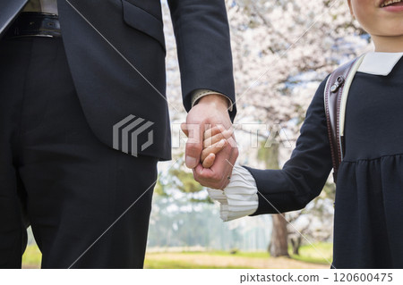 A father and his first-grade daughter holding hands in front of cherry blossoms A father and his first-grade daughter holding hands in front of cherry blossoms 120600475