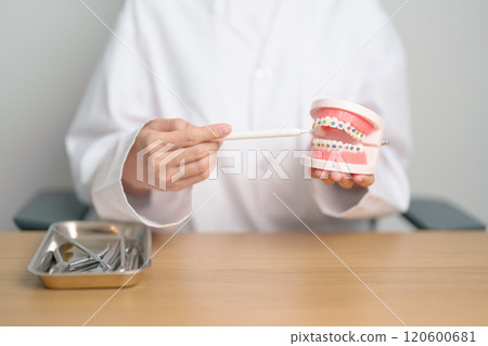 Dentist with Orthodontic tooth model and bracket or brace. Clean and Scrape off tartar. May Orthodontic Health Day, March Oral health, Dentist Day, False Teeth. Toothache and Children Dental Health 120600681
