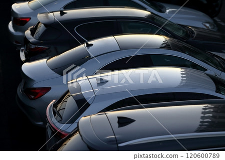 Image of cars lined up 120600789