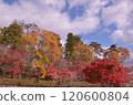 Autumn in Tohoku-5 120600804