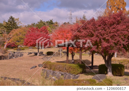 Autumn in Tohoku-14 120600817