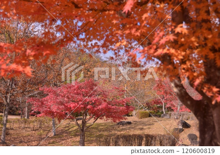 Autumn in Tohoku-16 Autumn in Tohoku-16 120600819