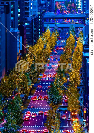 View of Midosuji illuminations View of Midosuji illuminations 120600894