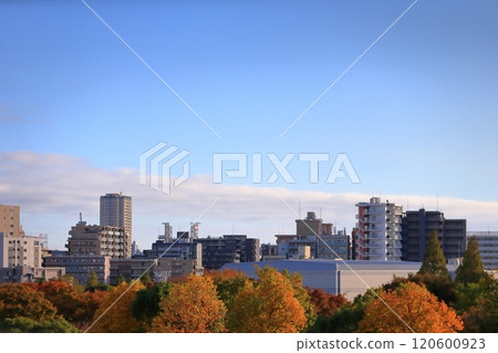 Blue sky and collective housing Blue sky and collective housing 120600923
