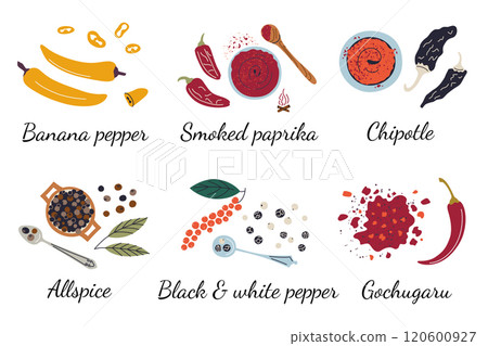 Spices vector illustration collection with banana pepper, smoked paprika, chipotle, allspice, black and white pepper, gochugaru. Flat cartoon doodle style, colorful seasoning set for cooking Spices vector illustration collection with banana pepper, smoked paprika, chipotle, allspice, black and white pepper, gochugaru. Flat cartoon doodle style, colorful seasoning set for cooking 120600927