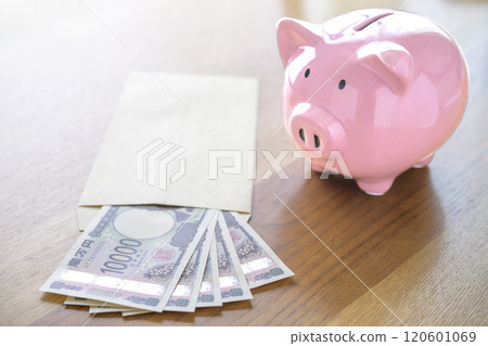 Pig money box and banknotes in an envelope (new banknotes) 120601069