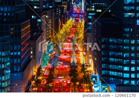 View of Midosuji illuminations 120601170