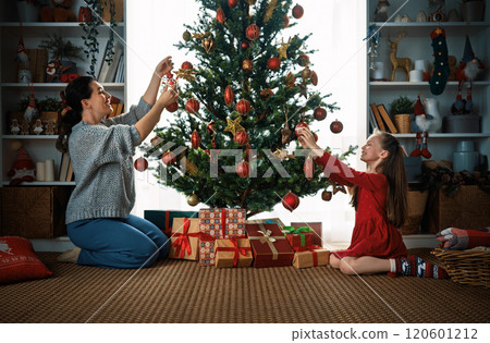 family celebrating Christmas 120601212