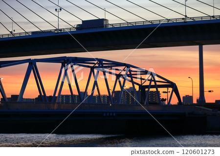 Kamihirai Bridge and Katsushika Harp Bridge 120601273