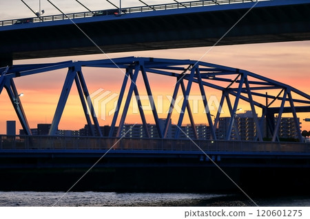 Kamihirai Bridge and Katsushika Harp Bridge Kamihirai Bridge and Katsushika Harp Bridge 120601275
