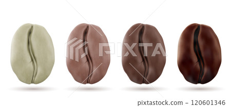 Realistic 3d coffee beans showing roasting stages 120601346