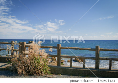 可以看到大海的公園 可以看到大海的公園 120601383