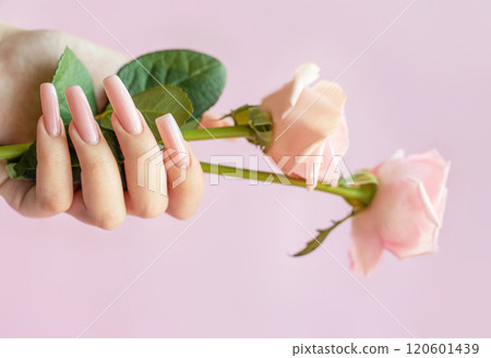 Woman holding pink roses showing long ballerina nails manicure on pink background 120601439