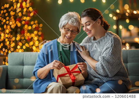 family celebrating Christmas 120601488