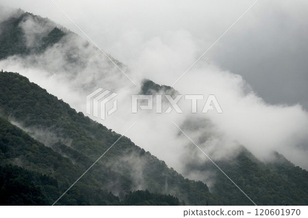 濃濃的霧氣籠罩在山上 120601970