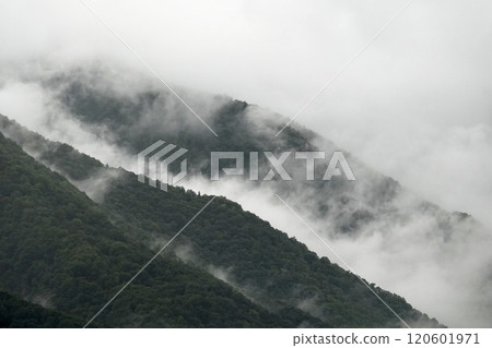 濃濃的霧氣籠罩在山上 120601971
