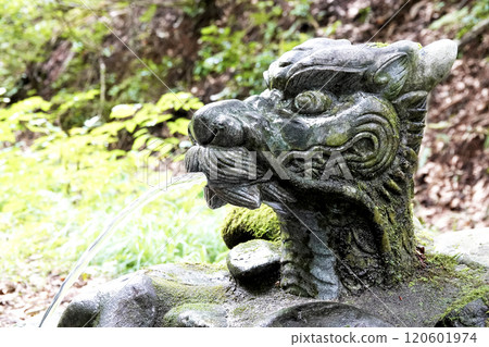 A drinking fountain with spring water coming out of the mouth of the dragon's head 120601974