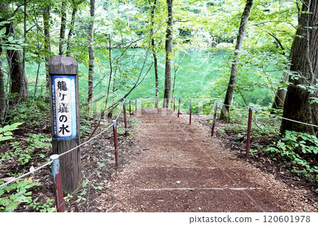 Ryugakubo, with its abundant spring water, emerald green water surface as seen from the walking trail Ryugakubo, with its abundant spring water, emerald green water surface as seen from the walking trail 120601978