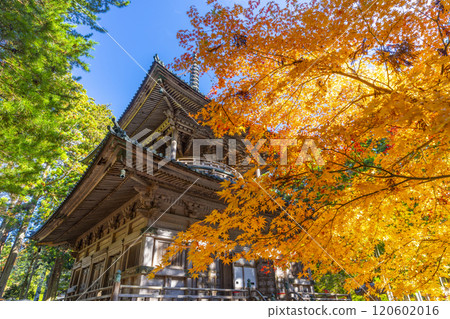 高野山團上伽藍西塔被秋葉覆蓋 120602016
