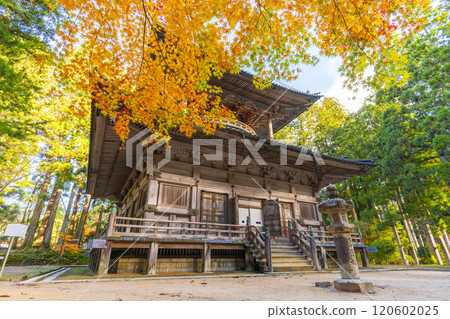 高野山團上伽藍西塔被秋葉覆蓋 高野山團上伽藍西塔被秋葉覆蓋 120602025