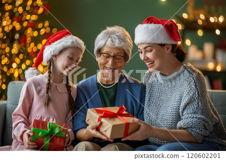 family celebrating Christmas 120602201