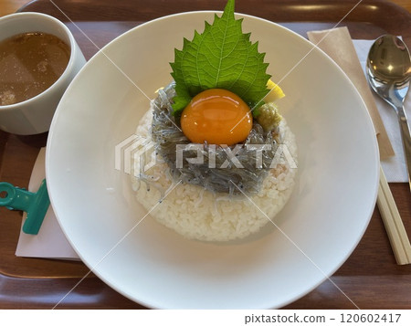 A delicious bowl of raw whitebait rice at Higashiura Terminal Park on Awaji Island 120602417