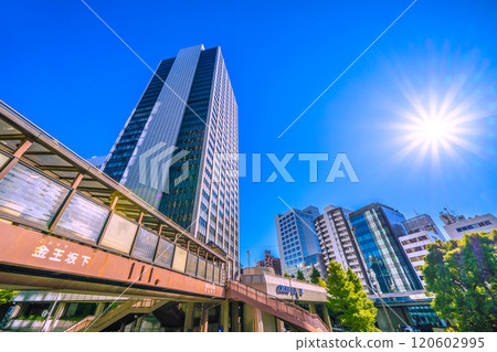 Tokyo cityscape in Japan: A city with pedestrian bridges. View of the Konno Sakashita pedestrian bridge and Shibuya Cross Tower, etc. = November 25th Tokyo cityscape in Japan: A city with pedestrian bridges. View of the Konno Sakashita pedestrian bridge and Shibuya Cross Tower, etc. = November 25th 120602995