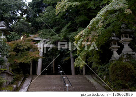 Tomiya Shrine, Sakurai City, Nara Prefecture Tomiya Shrine, Sakurai City, Nara Prefecture 120602999