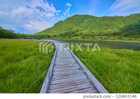 從群馬縣赤城公園的夏天Kamamanoki木路看Komagatake地區 120603146