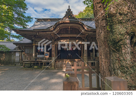 宮崎天岩戶神社神樂殿及河原天康祈禱殿 120603305