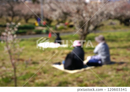 Cherry blossom viewing image blur 120603341