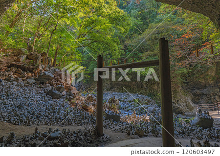 Miyazaki Amano Iwato Shrine Amanoyasugawara 120603497
