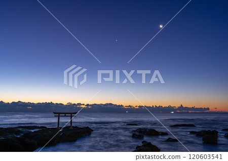 茨城縣大洗町黎明前的上磯鳥居 120603541