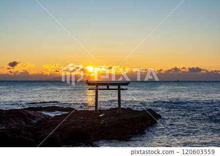 Torii gates at Kamiiso (sunrise), Oarai Town, Ibaraki Prefecture 120603559