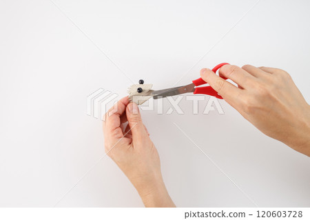 using a pair of red-handled scissors to cut. a crafting or DIY activity, part of a larger project, making lizard craft for kids, 120603728