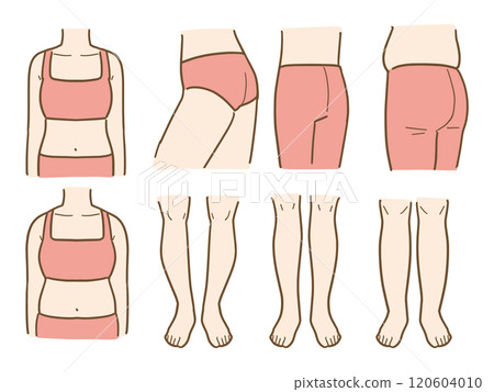 Slim and thick upper and lower body illustrations 120604010