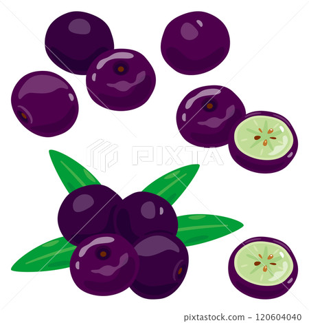 巴西莓套裝 120604040