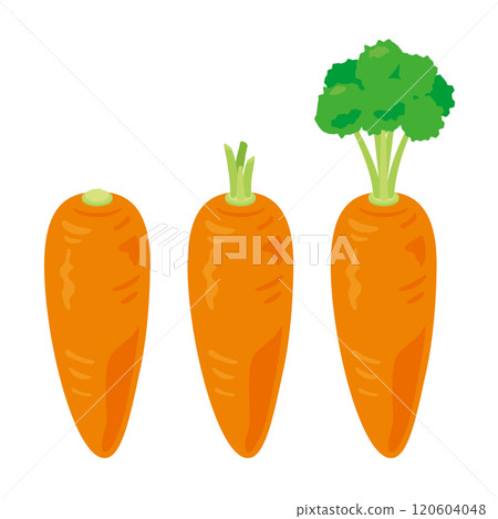 人參套裝 120604048