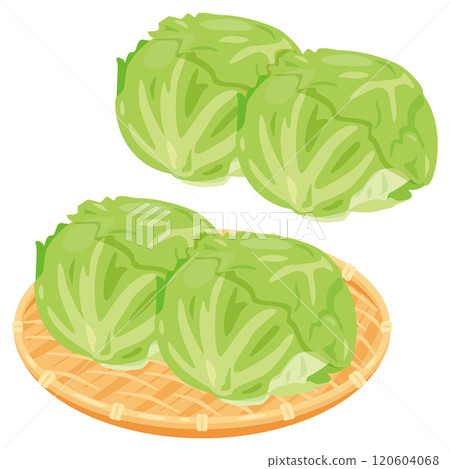 Lettuce set in a colander 120604068